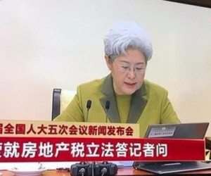 傅莹透露房地产税消息 房地产税难产了？