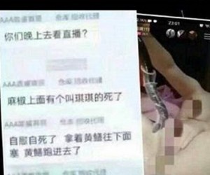 麻椒女主播黄鳝事件后续 主角现身打破死亡谣言