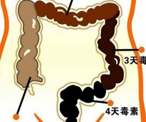 八种清男人肠胃的最佳食物 快来清清肠道吧