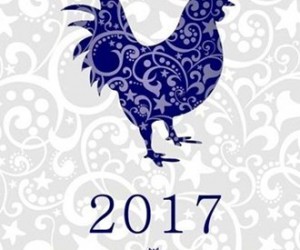 2017鸡年生肖限定球鞋大赏 大牌新年主题单品释出