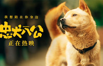 中国版《忠犬八公》全新特辑曝光 狗狗主演竟是流浪狗