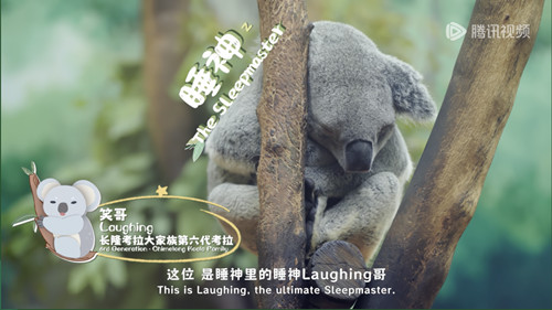 图片4_副本.jpg