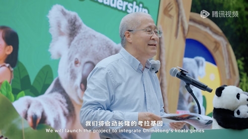 图片13_副本.jpg