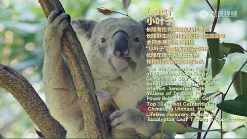 图片2_副本.jpg